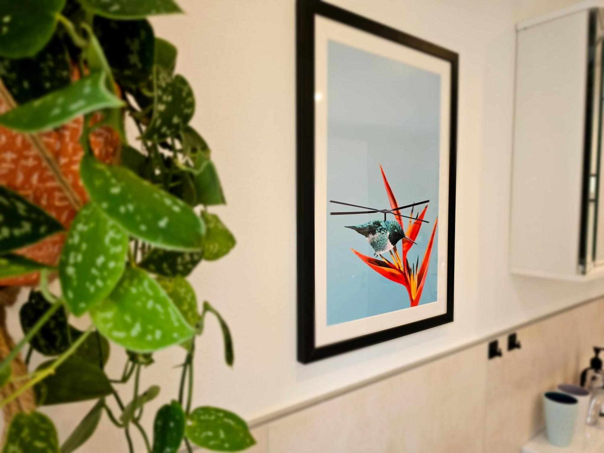 Kolibri - Design Maisonette - Nintendo Switch, Streaming, Bikestore, E-Wallbox Marburg Εξωτερικό φωτογραφία